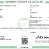 Cert-Eunike