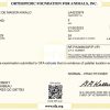 Cert-Maika